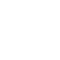 Motion Capture Gloves