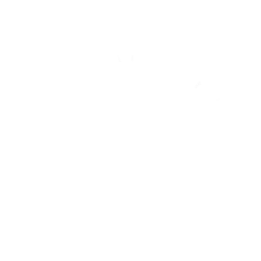 Hands Icon