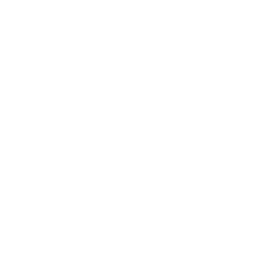 Wrench Icon